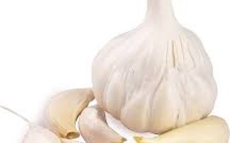 ଖାଲିପେଟରେ ରସୁଣ ସେବନ କଲେ ଦୂର ହୁଏ ଦୁଃଶ୍ଚିନ୍ତା