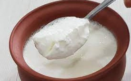 ଥକ୍କାପଣ ଦୂର କରିଥାଏ ଦହି