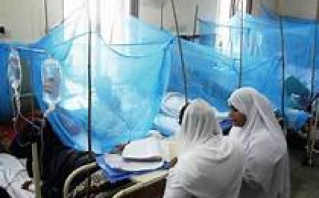 ଭୁବନେଶ୍ୱରର ସମସ୍ତ ୪ ସିଏଚସିରେ ଖୋଲିବ ଡେଙ୍ଗୁ ୱାର୍ଡ