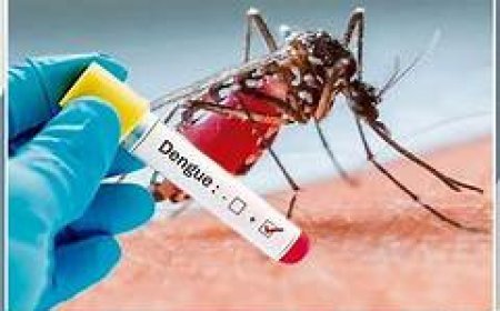 ରାଜ୍ୟରେ ୨୭ଶହ ଟପିଲା ଡେଙ୍ଗୁ ରୋଗୀଙ୍କ ସଂଖ୍ୟା