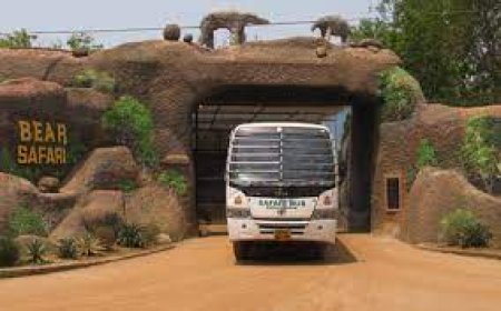 ବଢିଲା ନନ୍ଦନକାନନ ସଫାରୀ ଟିକେଟ ଦାମ