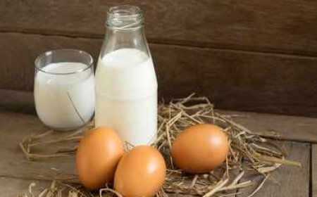 ଅଣ୍ଡା ନା କ୍ଷୀର , କିଏ ବେଶୀ  ସ୍ବାସ୍ଥ୍ୟ ଉପଯୋଗୀ?