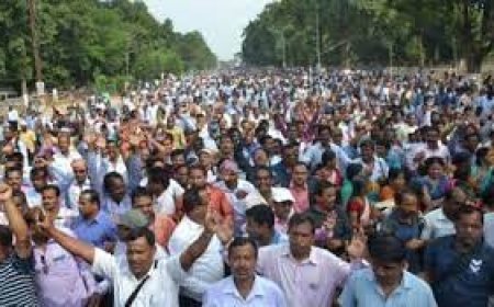 ଗୁରୁ ଦିବସରେ ଗୁରୁ ପିନ୍ଧିବେ କଳାପଟି