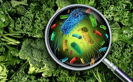 ବିଷାକ୍ତ ଖାଦ୍ୟ ଖାଇ ୧୧ ଅସୁସ୍ଥ