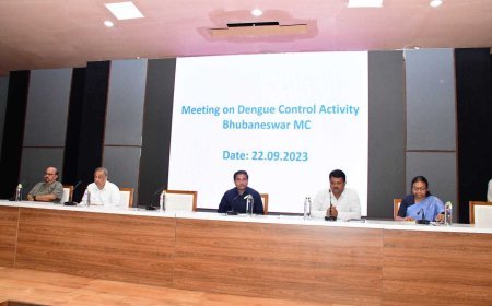 ଡେଙ୍ଗୁ ନିୟନ୍ତ୍ରଣ ପାଇଁ ବିଏମ୍‌ସିର ସମୀକ୍ଷା, ଦୈନିକ ରିପୋର୍ଟ ଦେବେ କର୍ମଚାରୀ