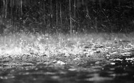 ୨୯ରୁ ପ୍ରବଳ ବର୍ଷା ସମ୍ଭାବନା