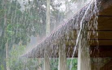 ଶୁକ୍ରବାର ସୃଷ୍ଟି ହେବ ଘୂର୍ଣ୍ଣିବଳୟ