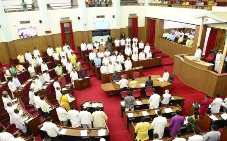 ବିଧାନସଭା ଗୃହ ବିବରଣୀରୁ ବାଦ୍‌ ପଡିଲା ‘ମେଣ୍ଟାଲ ଡିଜଅର୍ଡର’ ଶବ୍ଦ