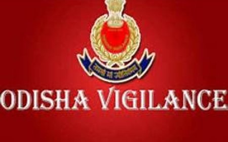 ଭିଜିଲାନ୍ସ ଜାଲରେ ଢେଙ୍କାନାଳ ବାଟାଲିୟନ କମାଣ୍ଡାଣ୍ଟ