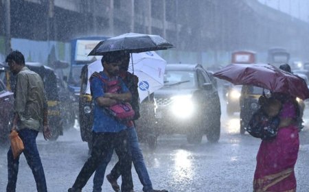 ଅତି ପ୍ରବଳ ବର୍ଷା , ୧୧ ଜିଲ୍ଲାକୁ ୟେଲୋ ଆଲର୍ଟ