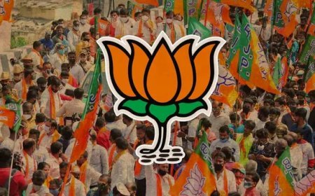 ୨୦୨୪ ସାଧାରଣ ନିର୍ବାଚନ : ବଦଳିବ ବିଜେପିର ଟିକେଟ୍‌ ଫର୍ମୁଲା