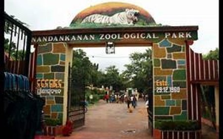 ନନ୍ଦନକାନନରେ ପୁଣି ଏକ ଭାଲୁ ମୃତ