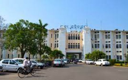 ଓଏଏସ୍‌‌ ସ୍ତରରେ ଅଦଳବଦଳ