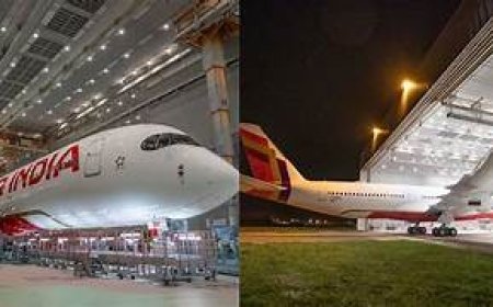 ସାମ୍ନାକୁ ଆସିଲା ଏୟାର ଇଣ୍ଡିଆର ନୂଆ ଲୋଗୋ