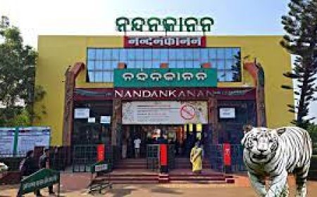 ନନ୍ଦନକାନନ ଟିକେଟ୍ ବୁକିଂ ହେଲା ଆହୁରି ସହଜ