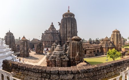 ଦୁଇଦିନ ପରେ ମଧ୍ୟ ପ୍ରଭୁ ଲିଙ୍ଗରାଜଙ୍କ ନୀତି ସ୍ବାଭାବିକ ହୋଇ ପାରିଲା ନାହିଁ