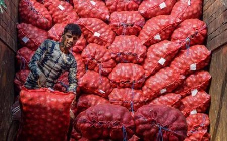 କନ୍ଦାଉଛି ପିଆଜ, ମାସକ ଭିତରେ ରେଟ୍‌ ହେଲା ଡବଲ୍‌