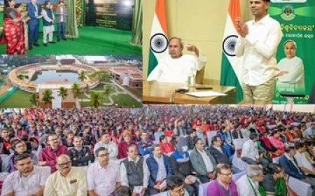 ଲୋକାର୍ପିତ ହେଲା ଓଡ଼ିଆ ବିଶ୍ଵ ବିଦ୍ୟାଳୟ