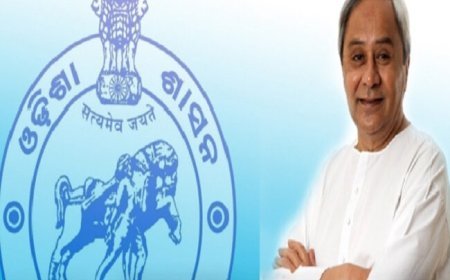 ମୁଖ୍ୟମନ୍ତ୍ରୀଙ୍କ ଘୋଷଣା : ବଢିଲା ଜିଲ୍ଲା ପରିଷଦ ଓ ସରପଞ୍ଚଙ୍କ ଦରମା, ଜାଣନ୍ତୁ କାହାର କେତେ ବଢିଲା…….