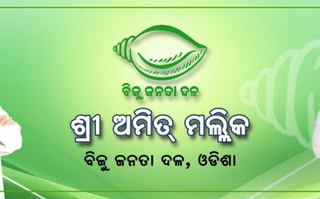 ବିଜେଡି ଦେଲା ନୂଆ ଦାୟିତ୍ୱ ଅମିତ ମଲ୍ଲିକଙ୍କୁ