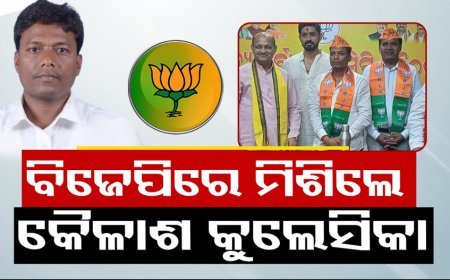 ପଦ୍ମ ଧରିଲେ ପୂର୍ବତନ ବିଧାୟକ  କୈଳାଶ କୁଲେସିକା