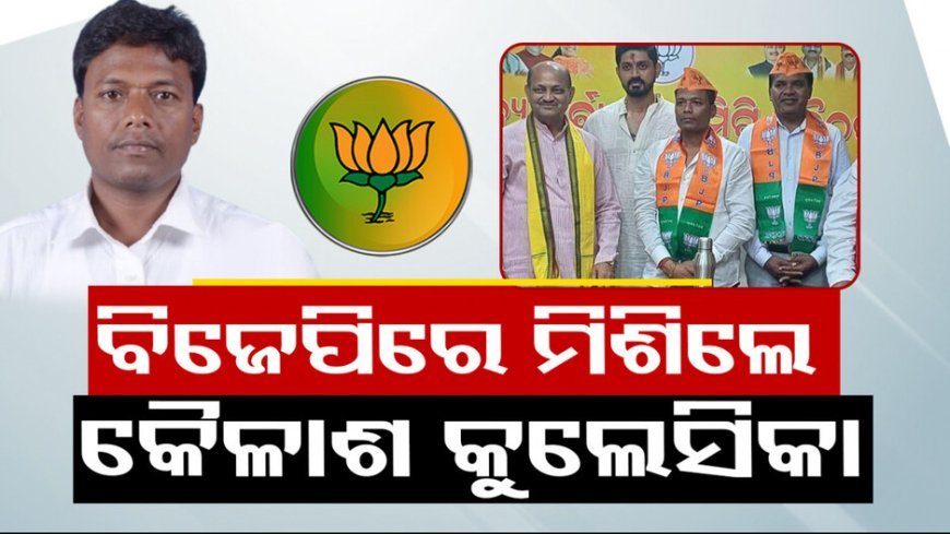 ପଦ୍ମ ଧରିଲେ ପୂର୍ବତନ ବିଧାୟକ  କୈଳାଶ କୁଲେସିକା