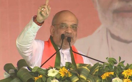 ଗୋ ହତ୍ୟା କରୁଥିବା ଲୋକଙ୍କୁ ଓଲଟା ଟାଙ୍ଗି ସିଧା କରିଦିଆଯିବ: କେନ୍ଦ୍ର ଗୃହମନ୍ତ୍ରୀ ଅମିତ ଶାହା