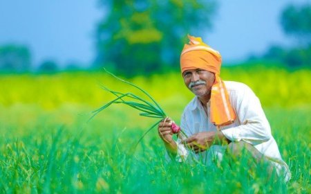 ରାଜ୍ୟରେ ୭.୯୪ ଲକ୍ଷ ମେଟ୍ରିକ୍ ଟନ୍ ସାର ଉପଲବ୍ଧ