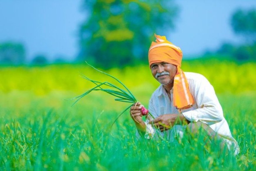 ରାଜ୍ୟରେ ୭.୯୪ ଲକ୍ଷ ମେଟ୍ରିକ୍ ଟନ୍ ସାର ଉପଲବ୍ଧ