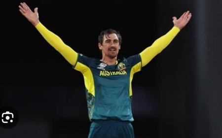 ଅବସର ନେଲେ ଷ୍ଟାର୍କ, T -20