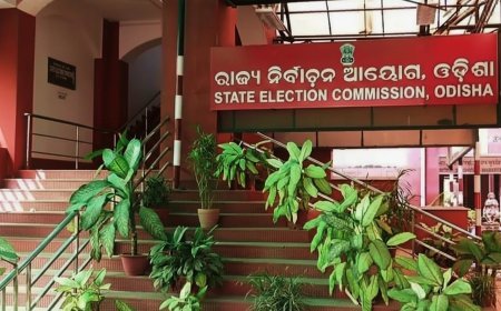 ୨୦୨୭ ରେ ହେବ ପଞ୍ଚାୟତ ନିର୍ବାଚନ: ସୂଚନା ଦେଲେ ଓଡ଼ିଶା ନିର୍ବାଚନ କମିଶନର