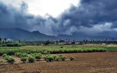 ସବୁ ଜିଲାକୁ ଛୁଇଁଲା ମୌସୁମୀ