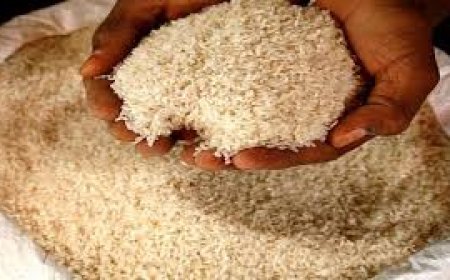 ବଦଳିବ ଅନ୍ତ୍ୟୋଦୟ ଅନ୍ନ ଯୋଜନା ଚାଉଳ ବଣ୍ଟନ ନିୟମ