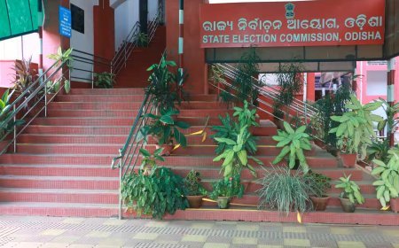 ଭୋଟର ତାଲିକା ପ୍ରସ୍ତୁତି ନେଇ ଅକ୍ଟୋବରରୁ ରାଜ୍ୟରେ ହେବ ଘରକୁ ଘର ସର୍ଭେ