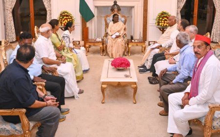ନିର୍ବାଚନରେ ​​ହୋଇଥିବା ଜାଲିଆତି'ର ପ୍ରମାଣ ମାଗିଲେ ରାଷ୍ଟ୍ରପତି